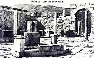DJEMILA - MARCHE DE COSINIUS